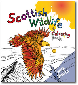 Scottish Wildlife Front Cover
